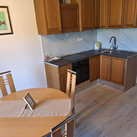 Apartment Njoko - Sea View & Private Parking Prvic Sepurine