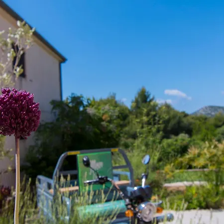 Njoko Apartment Prvic Sepurine