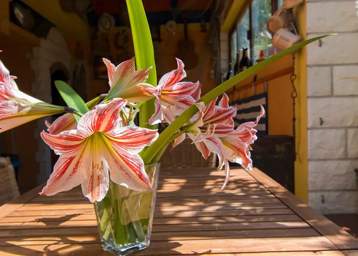 דירה Njoko פרוויץ' שפורינה