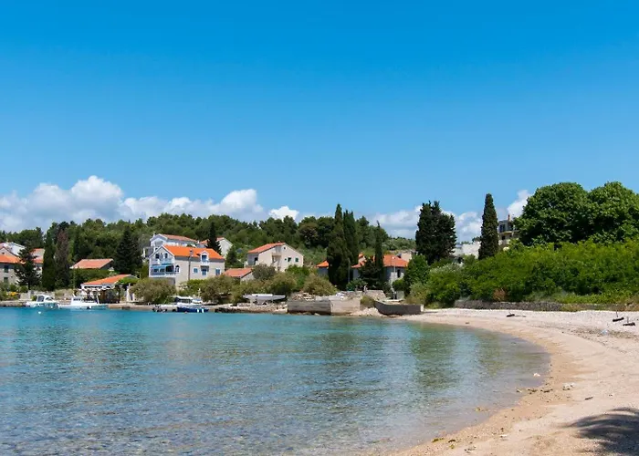 Njoko * פרוויץ' שפורינה